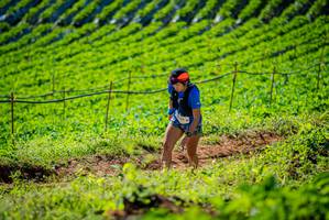 BIB: 
                            <button type="button" onclick="openModal(19161426)" class="btn btn-primary btn-sm float-right btn-popup" data-toggle="modal" data-target=".modal-high-quality">
                        <i class="fas fa-shopping-cart"></i> Add to Cart
                    </button>
                                            <button type="button" onclick="isThisMe(19161426, true)" class="btn btn-success btn-sm float-right btn-popup btn-isme hidden" data-toggle="tooltip" data-placement="bottom" title="นี่คือรูปของคุณใช่ไหม คลิกที่นี่เพื่อเอาเข้าอัลบั้ม">
                        <i class="fas fa-plus"></i> Add to album
                    </button>
                    <button type="button" onclick="isThisMe(19161426, false)" class="btn btn-warning btn-sm float-right btn-popup btn-isnotme hidden">
                        <i class="fas fa-ban"></i> Remove from album
                    </button>